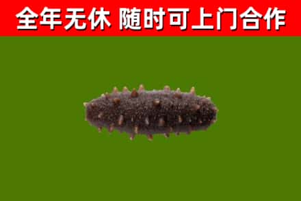 花莲烟酒回收干海参.jpg